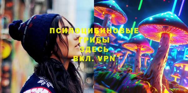 круглые Алексеевка