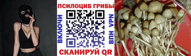 где продают   Уяр  Псилоцибиновые грибы ЛСД 